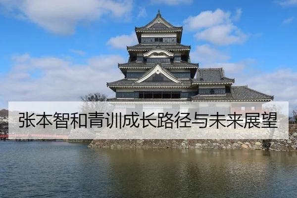 张本智和青训成长路径与未来展望